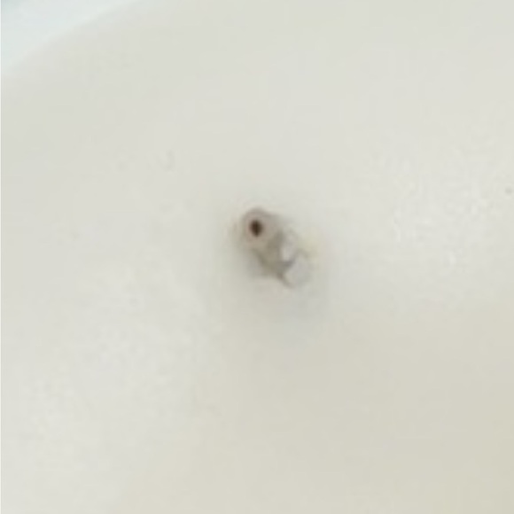 Bath & Body Works Disney Villains Maleficent Scented Candle 3 Wick Discontinued - Picture 3 of 8